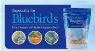 bluebird-bugberry-blend