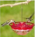 mini-high-perch-feeder